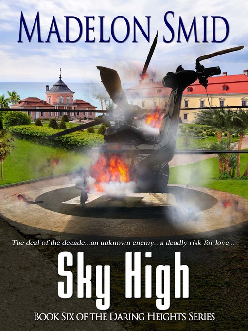 Title details for Sky High by Madelon Smid - Available